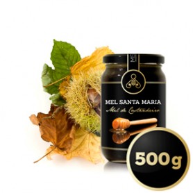Mel de Castanheiro - 500g