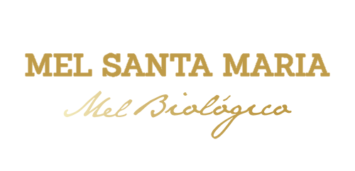 Mel Santa Maria