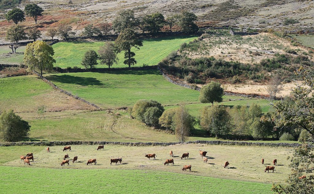 imagem da região do Barroso - Boticas e Montalegre