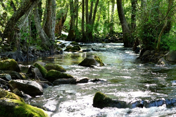 Rio Calvo