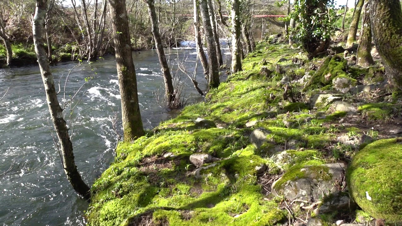 Rio Lourêdo
