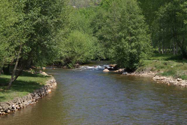 Rio Mente