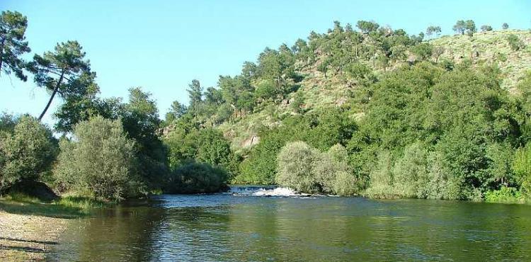 Rio Rabaçal