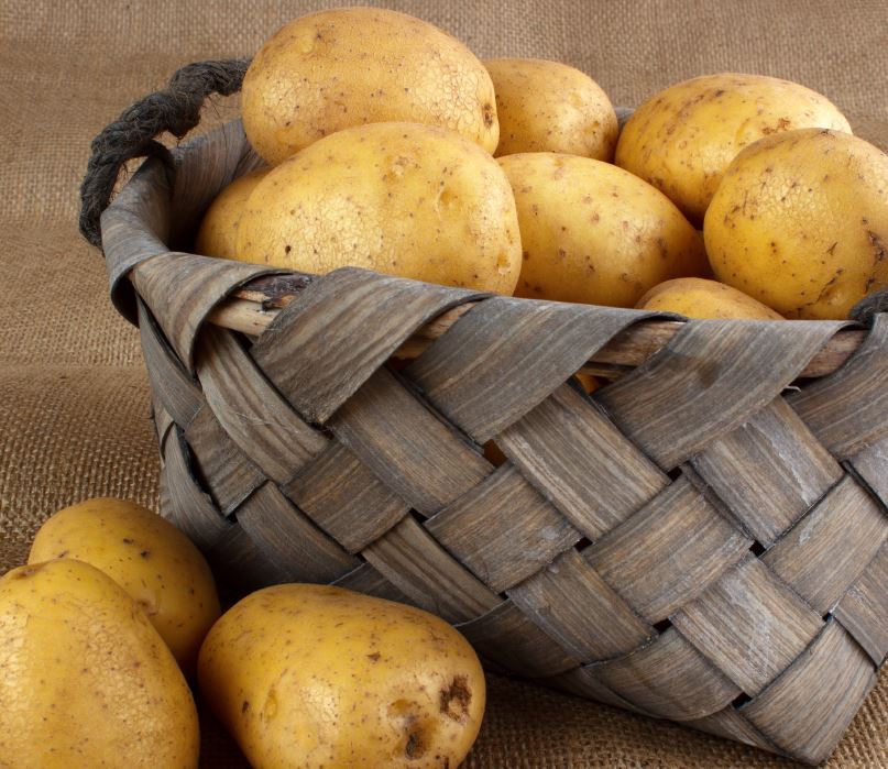 Batata de Chaves Vila Pouca de Aguiar e Montalegre
