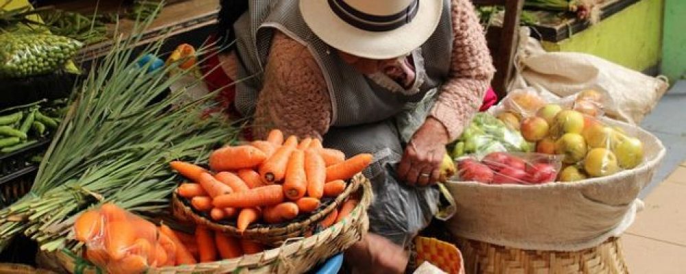 Formação GrowLIFE – Sistemas Alimentares Sustentáveis