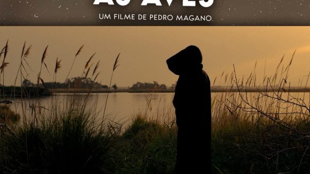 30 de abril | Cineclube de Chaves “As Aves”  | TEF