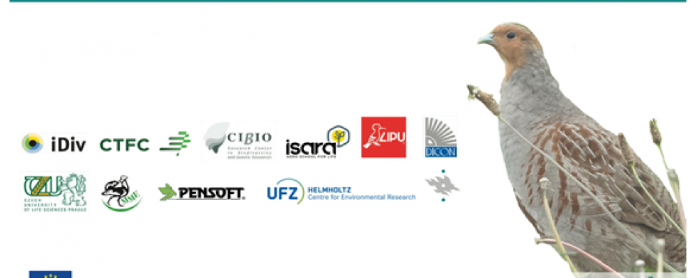 Iniciativa Comissão Europeia “Birds@Farmland”