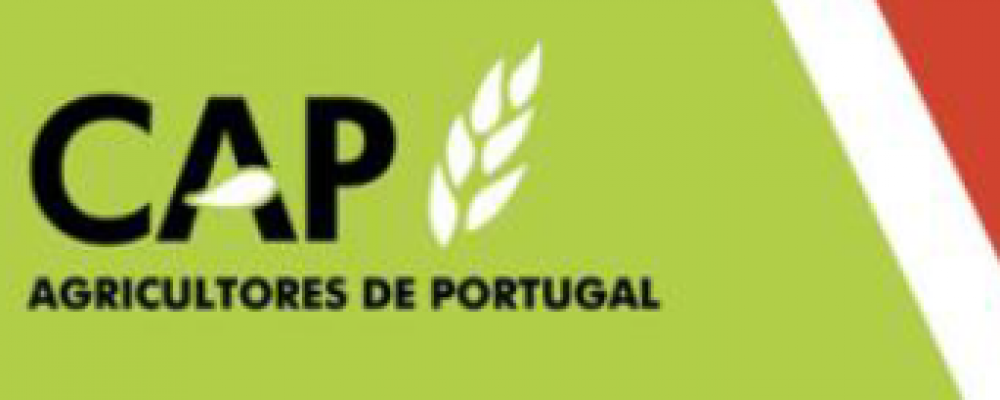 Disponível Newsletter da CAP Frutos & Hortícolas – abril 2022