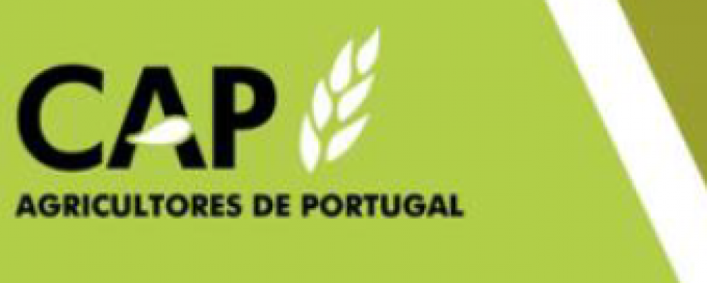 Newsletter da CAP sobre setor do azeite – maio 2022