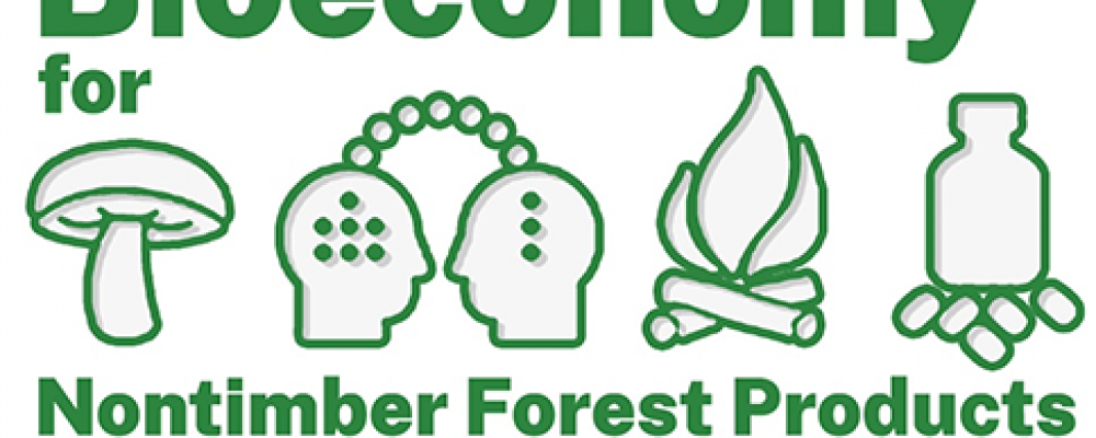 26 de abril  | Webinar sobre uso de produtos florestais não lenhosos em sistemas agroflorestais