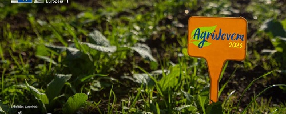 AgriJovem 2023: Representação da Comissão Europeia quer sensibilizar jovens para oportunidades profissionais na agricultura
