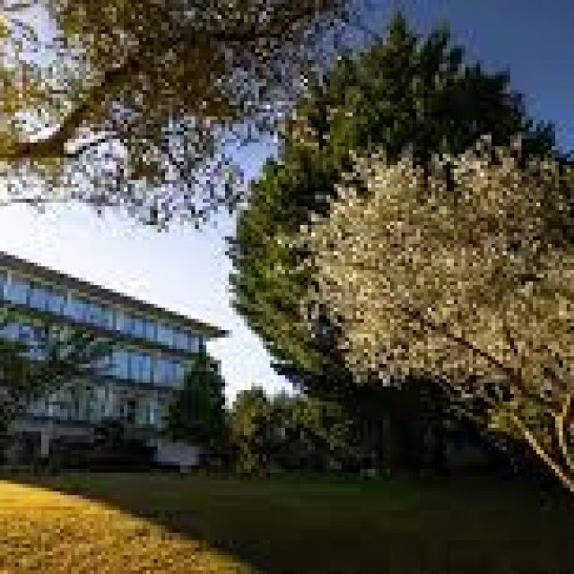Olive Nature – Hotel & SPA