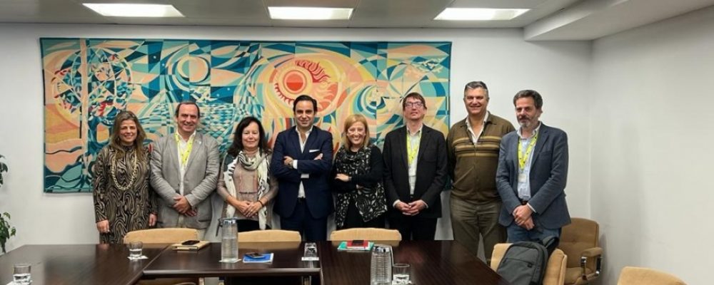 Federação Minha Terra reúne com CD do IFAP