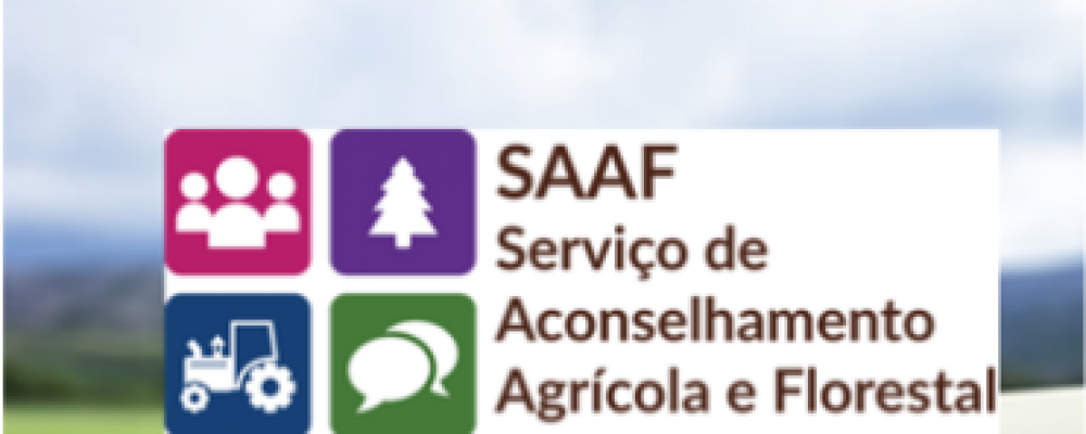 31 de julho | Formação de competências nas áreas temáticas do SAAF: “Medidas de proteção contra as pragas dos vegetais”