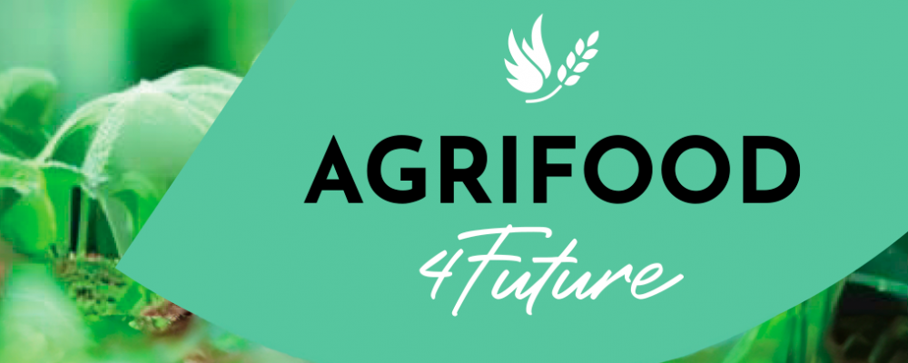 Webinars de Inovação e Empreendedorismo do Projeto ERASMUS+ AGRIFOOD4FUTURE