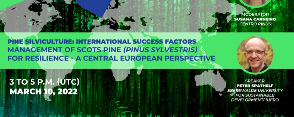 10 de Março | Ciclo de Webinares “Silvicultura de pinheiro: fatores internacionais de sucesso”