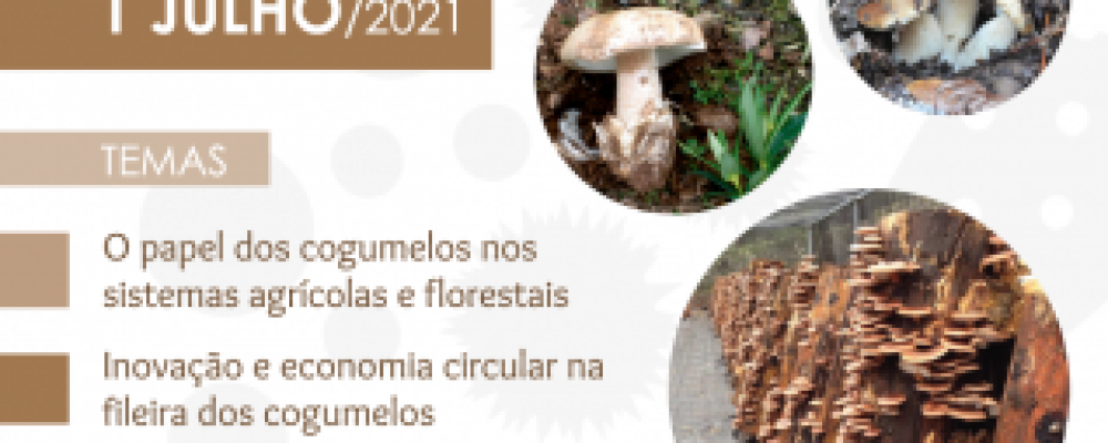 Webinar A Fileira dos Cogumelos: o Presente e o Futuro!