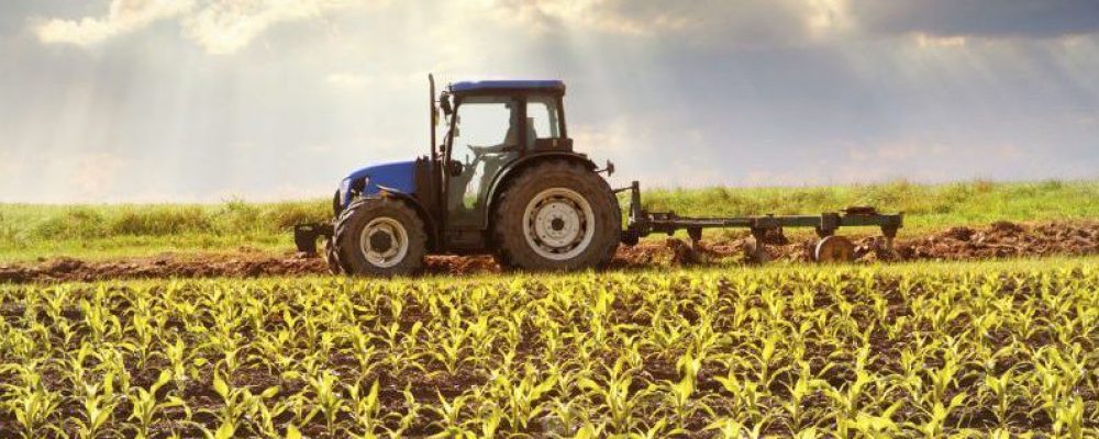 Inquérito sobre fixação em regiões suscetíveis à desertificação/despovoamento e funcionamento dos estatutos de Jovem Agricultor/a, Jovem Empresário/a Rural e Agricultura Familiar