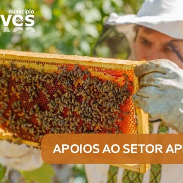Chaves abre candidaturas para apoios à apicultura
