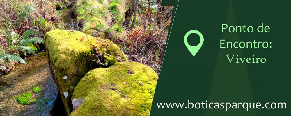 GNR promove “Campanha Floresta Segura 2022” | Boticas