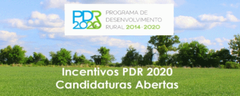 ANÚNCIO DE ABERTURA DE PERÍODO DE APRESENTAÇÃO DE CANDIDATURAS