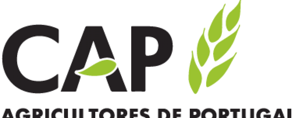 Newsletter da CAP sobre setor do azeite – janeiro 2022