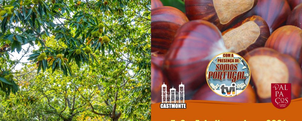 XXIV Feira da Castanha Judia | Carrazedo de Montenegro | 5, 6 e 7 novembro