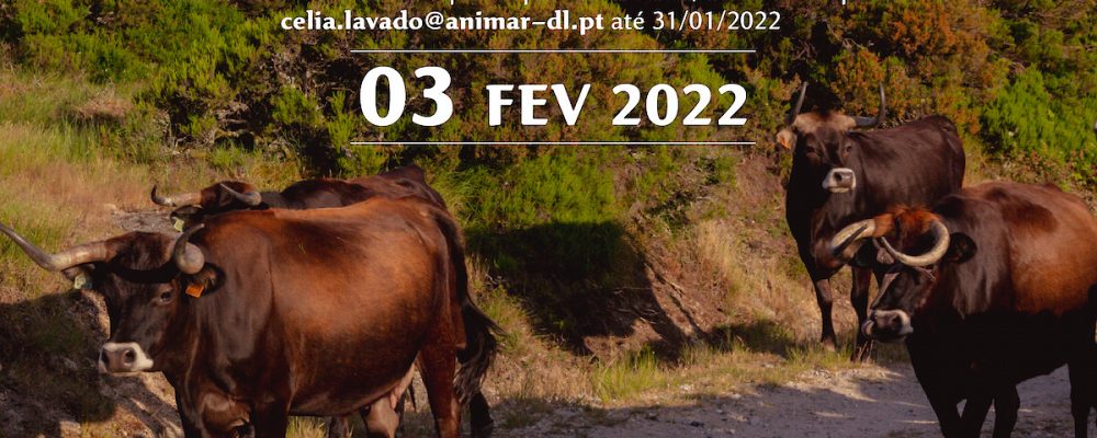 Visita InterPares à Escola de Pastores e à Life Maronesa – AguiarFloresta | 03 fevereiro’22