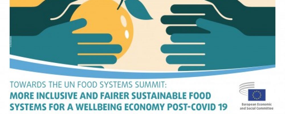 Conferência online sobre construção de sistemas alimentares sustentáveis, inclusivos e justos no pós-pandemia