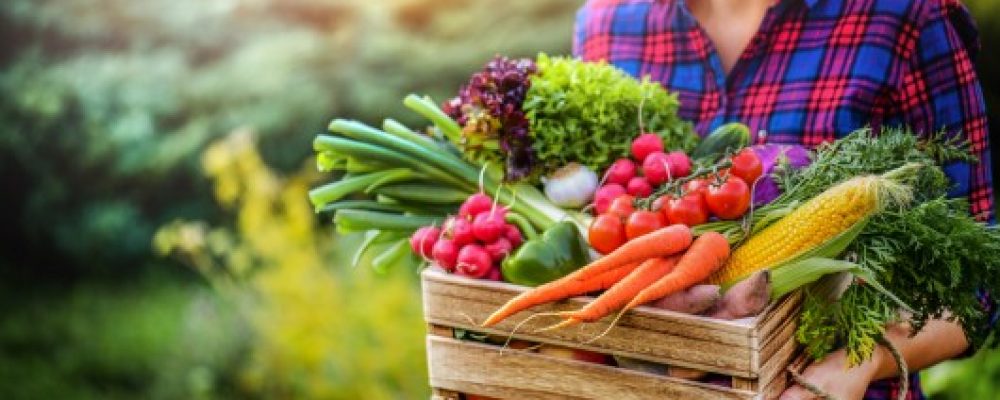 Comissão Europeia coloca iniciativa “Sistema alimentar sustentável da UE” em consulta pública