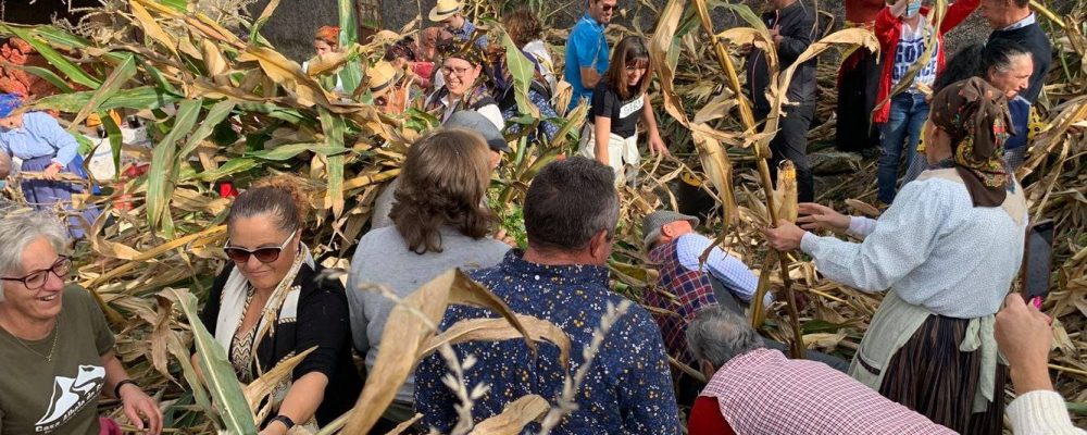 Desfolhada tradicional em Outeiro