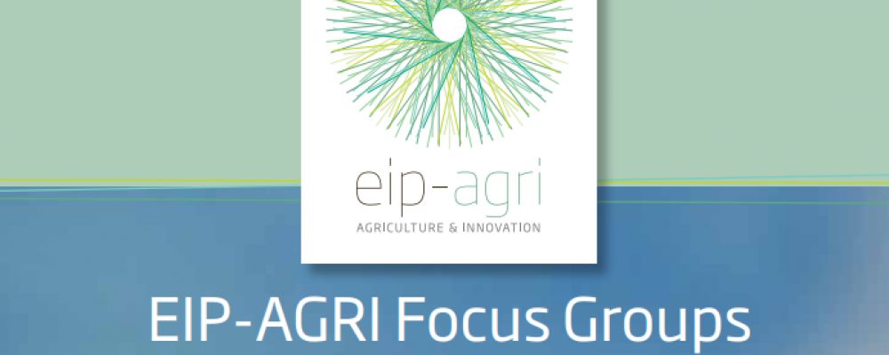 Rede Europeia da PAC anuncia três novos Focus Groups da PEi-AGRI