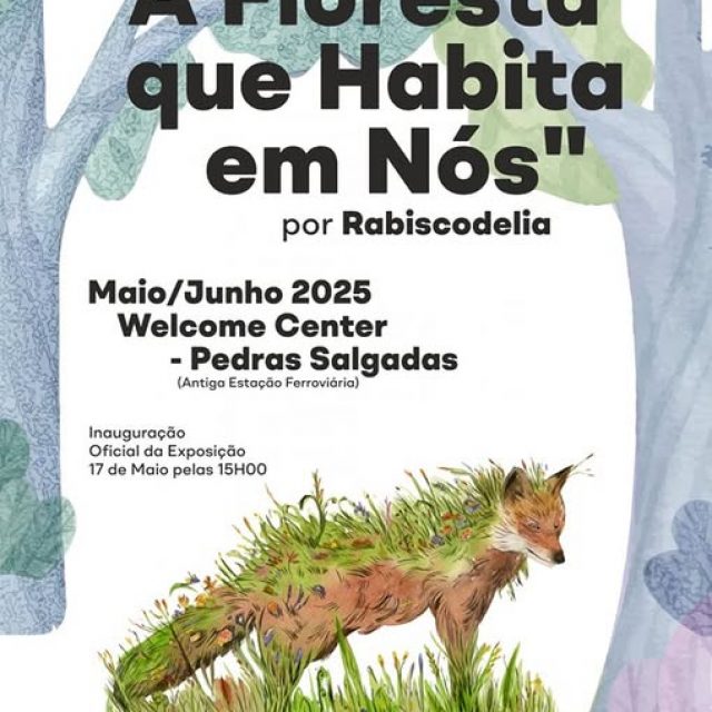 Maio a Junho | Exposição “A Floresta que habita em nós” | Pedras Salgadas