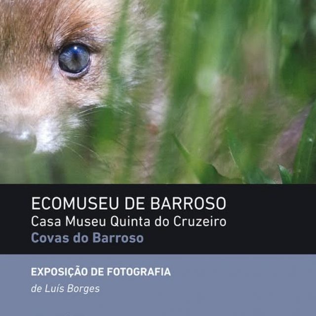 1 a 31 julho | EXPOSIÇÃO DE FOTOGRAFIA | Boticas