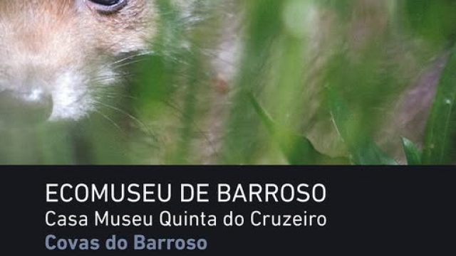 1 a 31 julho | EXPOSIÇÃO DE FOTOGRAFIA | Boticas
