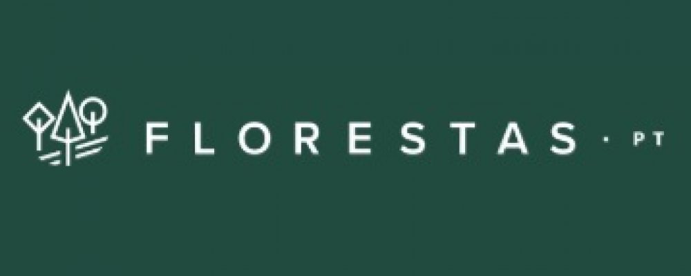 Newsletter Florestas n.º 6