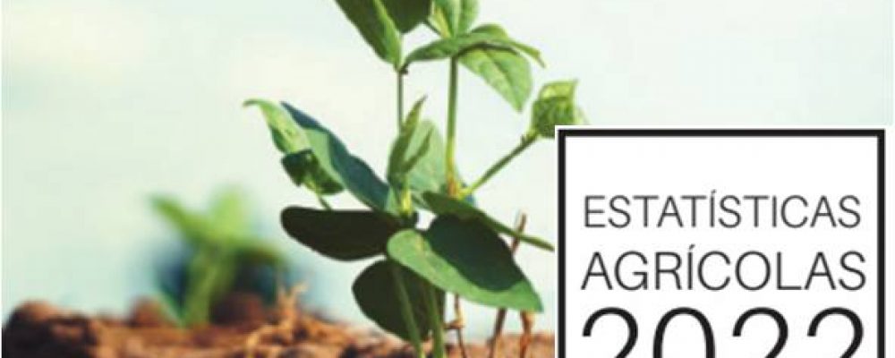 INE publica Estatísticas Agrícolas 2022