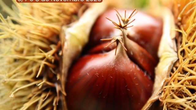 6 a 8 novembro | Feira da Castanha Judia | Carrazedo de Montenegro, Valpaços