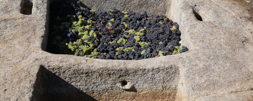 Vinificação em lagares rupestres reconhecido como método tradicional ‘Transmontano’