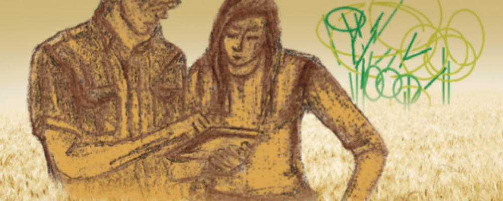 AJAP publica livro “Jovens Agricultores: Políticas, Perfis e Desafios”