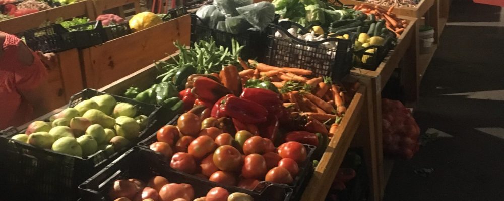 Aprovada a Agenda de Inovação para a Agricultura 2020-2030