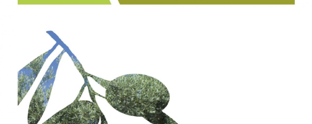 CAP | Newsletter Azeite – Janeiro de 2024