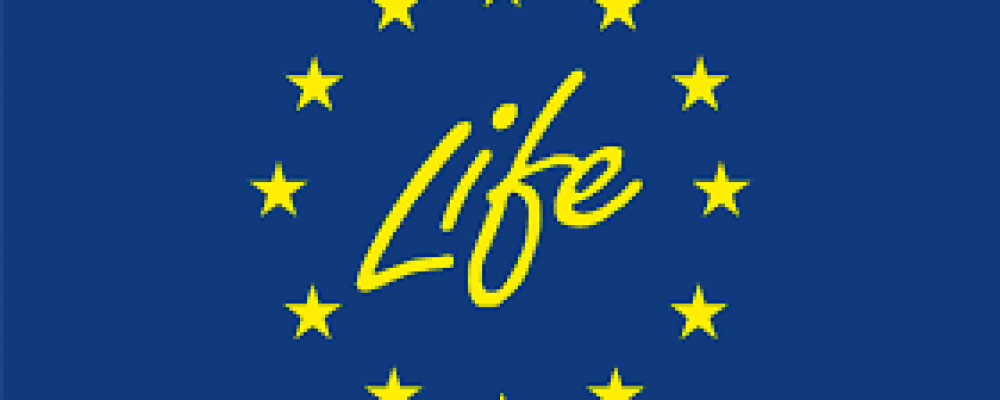 Programa LIFE – Candidaturas abertas 2025