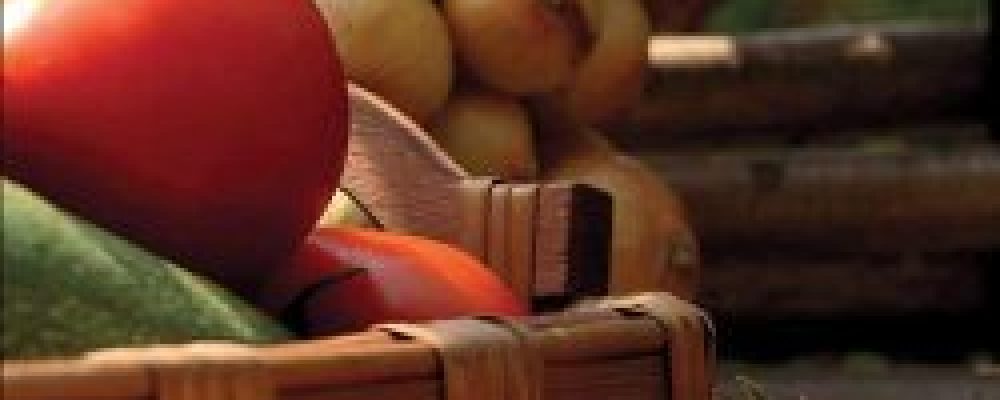 “Receitas e Sabores dos Territórios Rurais”