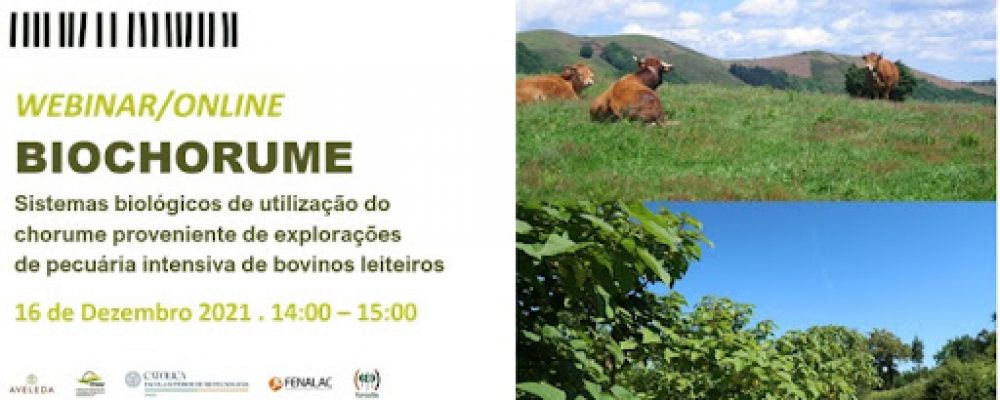 16 de dezembro | FORESTIS promove webinar do GO “BIOCHORUME”