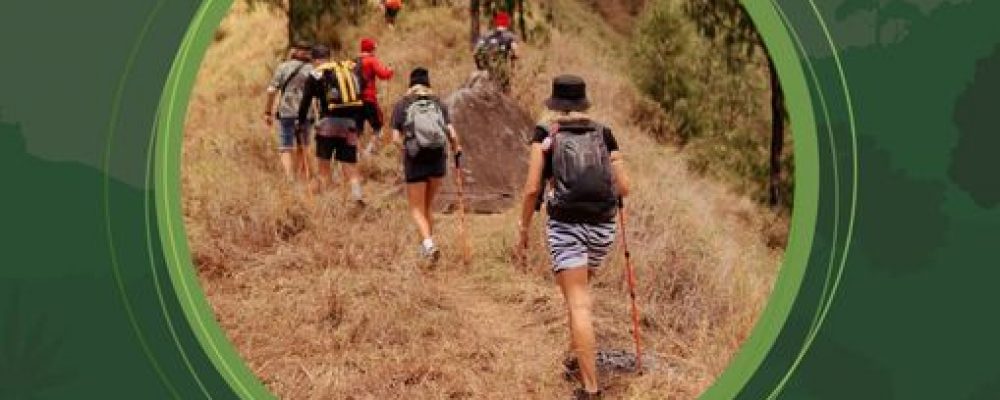 Ribeira de Pena | Voluntariado Jovem para a Natureza e Florestas