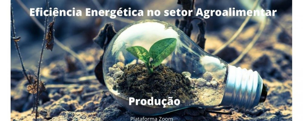 Webinar | 12 de maio: Eficiência Energética no setor Agroalimentar – Produção