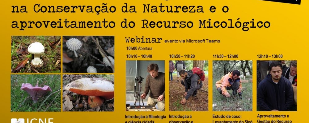 17 dezembro | Webinar: Importância da Micologia na Conservação da Natureza e o aproveitamento do Recurso Micológico