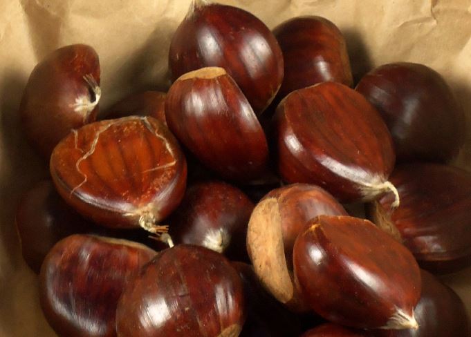 Castanha de Carrazedo de Montenegro e Valpaços 