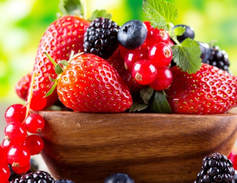 Frutos Vermelhos Alto Tâmega